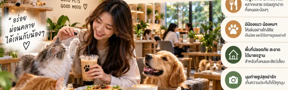 สปาอาบน้ำตัดขน ลด 20% ทุกวันธรรมดา