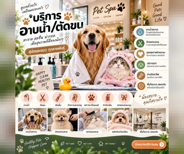 บริการอาบน้ำและตัดขนสัตว์เลี้ยง