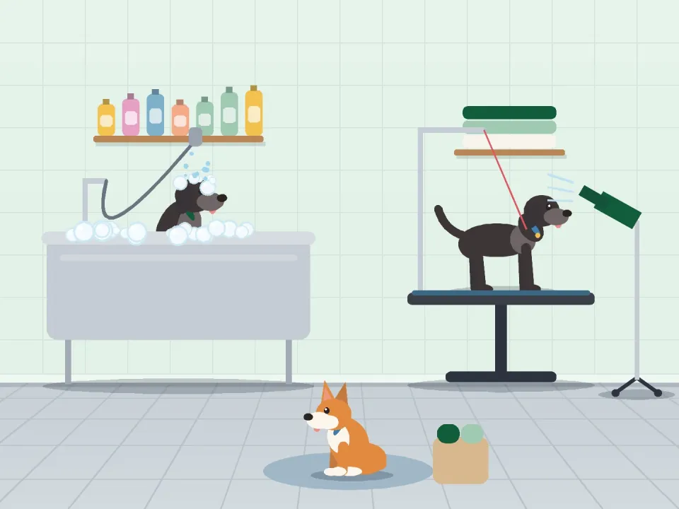 Tail Treats Market รังสิต 3