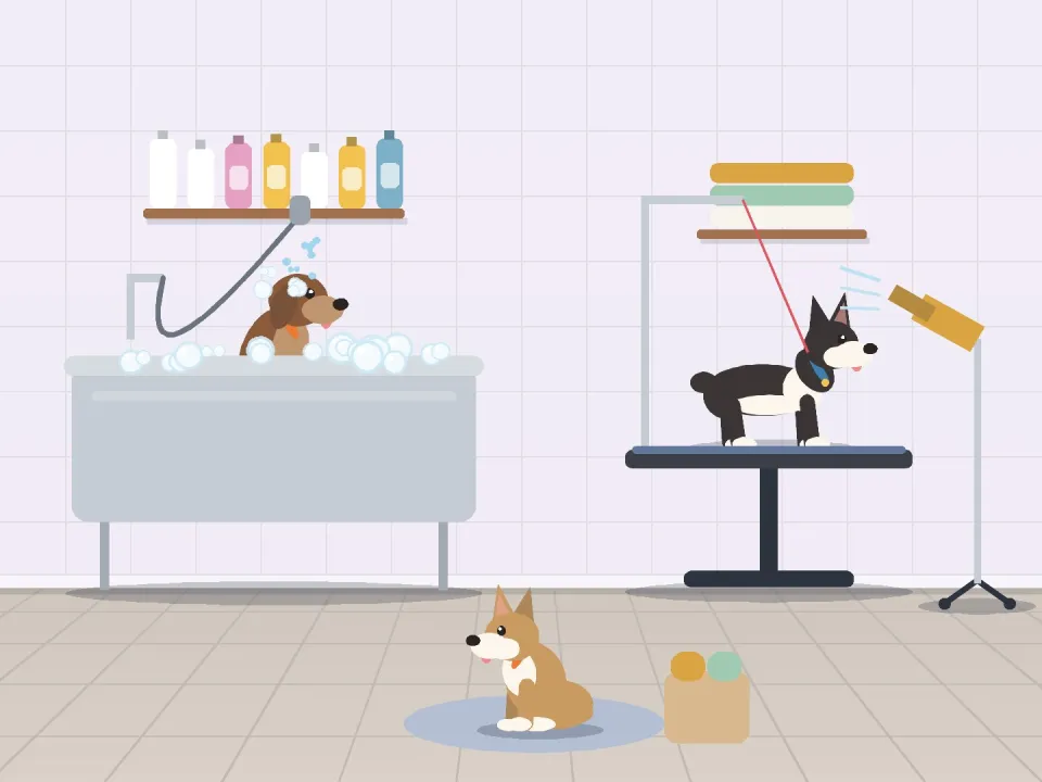 Snooze & Sniff Pet Hotel 4