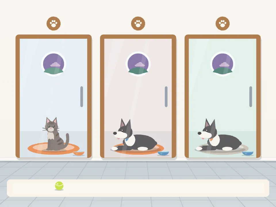Furry Nest Pet Hotel 2