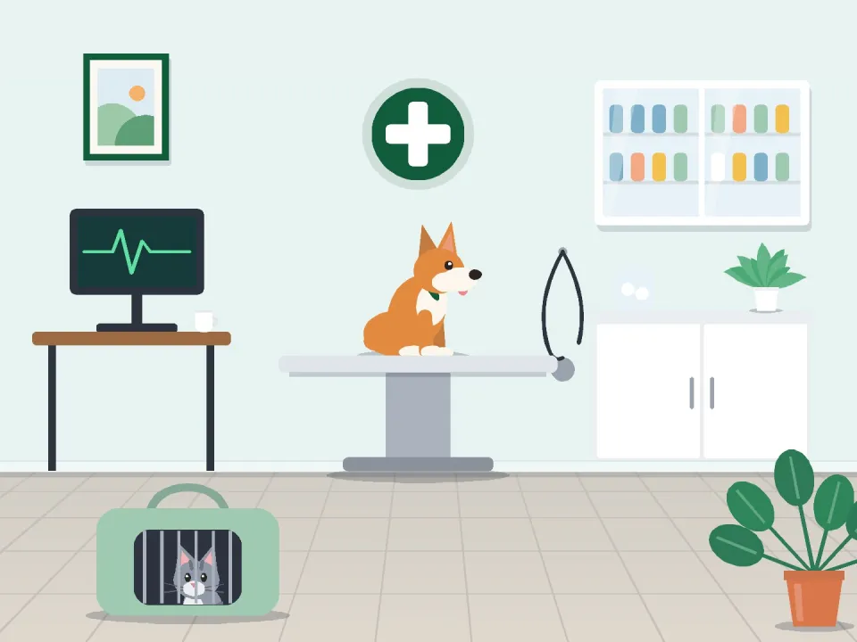 Lifeline Animal Hospital 6