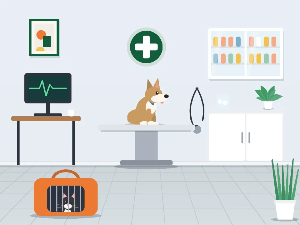 PawCare Animal Hospital Chatuchak 2